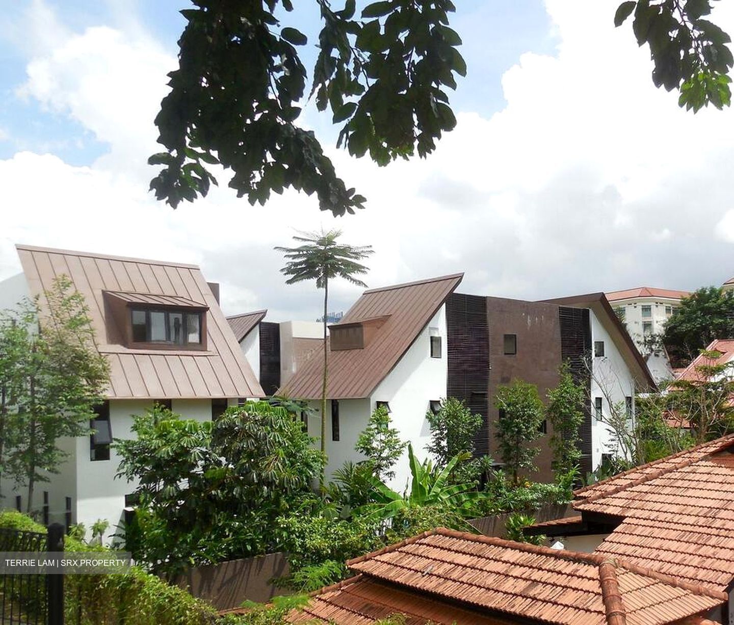 Barker Road (D11), Terrace #566141941
